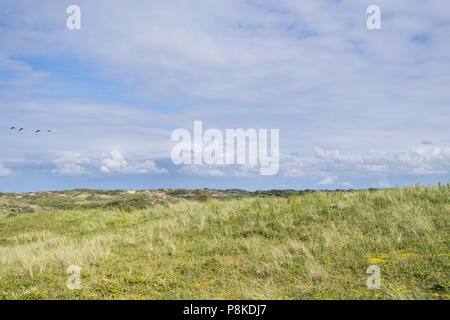 Berkheide Dünen südlich von Katwijk Aan Zee / Niederlande Stockfoto