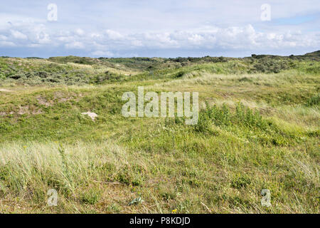 Berkheide Dünen südlich von Katwijk Aan Zee / Niederlande Stockfoto