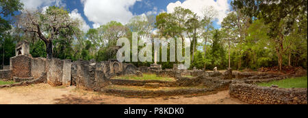 Hochauflösende Panorama - Ruinen der antiken Stadt Gede in den afrikanischen Dschungel. Watamu, Kenia. Stockfoto