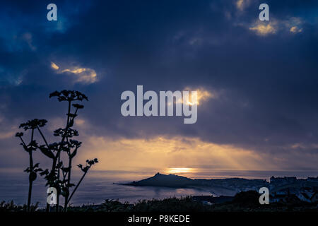 Porthgwidden Strand in St. Ives in der Morgendämmerung, Cornwall, England, Großbritannien Stockfoto