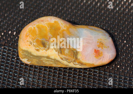 Prairie Achat, auf dem Buffalo Gap National Grassland von South Dakota, Vereinigte Staaten gesammelt Stockfoto