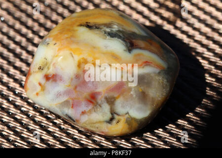 Prairie Achat, auf dem Buffalo Gap National Grassland von South Dakota, Vereinigte Staaten gesammelt Stockfoto