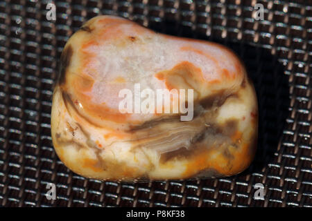 Prairie Achat, auf dem Buffalo Gap National Grassland von South Dakota, Vereinigte Staaten gesammelt Stockfoto