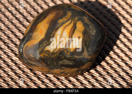 Prairie Achat, auf dem Buffalo Gap National Grassland von South Dakota, Vereinigte Staaten gesammelt Stockfoto