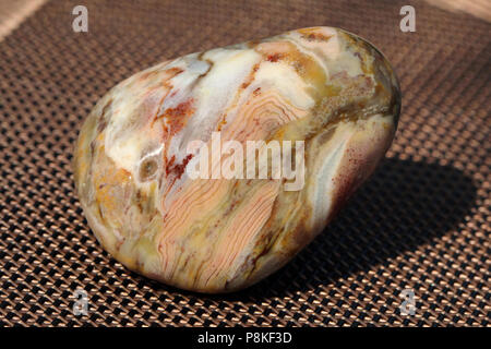 Prairie Achat, auf dem Buffalo Gap National Grassland von South Dakota, Vereinigte Staaten gesammelt Stockfoto