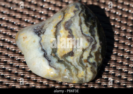 Prairie Achat, auf dem Buffalo Gap National Grassland von South Dakota, Vereinigte Staaten gesammelt Stockfoto