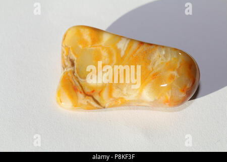 Prairie Achat, auf dem Buffalo Gap National Grassland von South Dakota, Vereinigte Staaten gesammelt Stockfoto