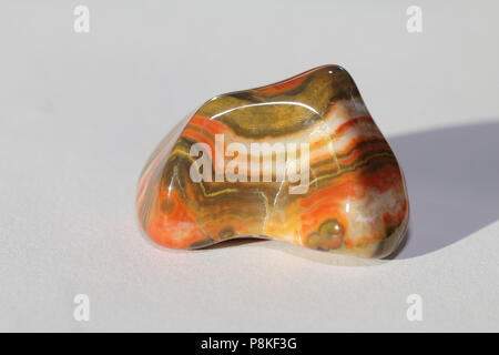 Prairie Achat, auf dem Buffalo Gap National Grassland von South Dakota, Vereinigte Staaten gesammelt Stockfoto