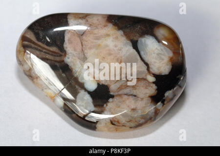 Prairie Achat, auf dem Buffalo Gap National Grassland von South Dakota, Vereinigte Staaten gesammelt Stockfoto