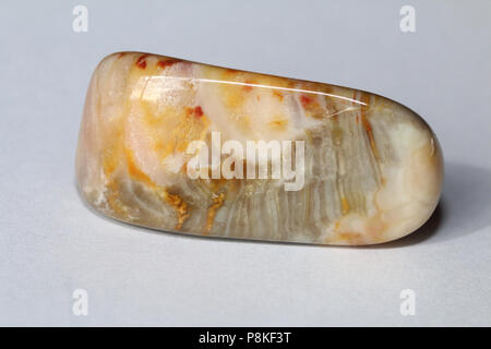 Prairie Achat, auf dem Buffalo Gap National Grassland von South Dakota, Vereinigte Staaten gesammelt Stockfoto