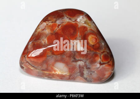 Prairie Achat, auf dem Buffalo Gap National Grassland von South Dakota, Vereinigte Staaten gesammelt Stockfoto