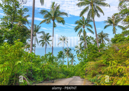 Die Natur der Insel Koh Samui in Thailand. Stockfoto