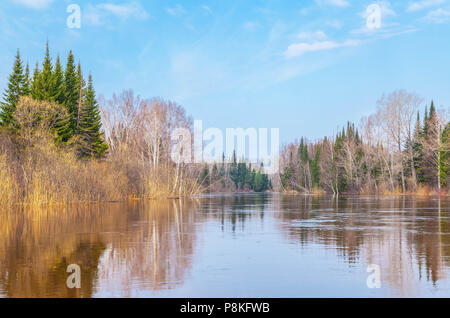 Frühjahr Hochwasser in Sibirien. Fluss Chet in der Region Tomsk. Stockfoto