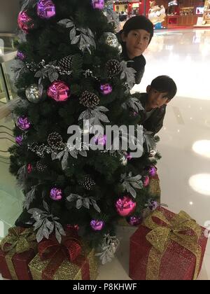 2 Jungen sind Hidding hinter einem Weihnachtsbaum Stockfoto