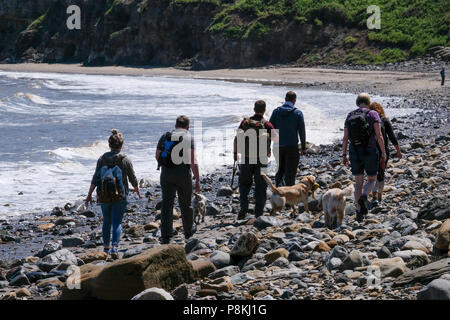 Urlauber und Menschen zu Fuß die Felsen am Strand mit Hund am Meer auf [Songbook] Bay, North Yorkshire Heritage Coast. Stockfoto