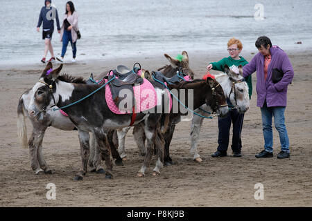 Paar Schlaganfall Esel am Strand von South Bay, Scarborough, Yorkshire, UK mit anderen Menschen genießen den Sandstrand hinter Ihnen Stockfoto