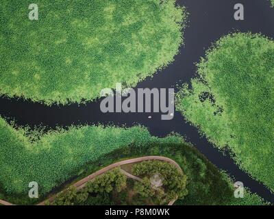 Shenyan, Shenyan, China. 13. Juli 2018. Shenyang, China - Luftaufnahmen der größten Lotus Pool in Shenyang, Provinz Liaoning im Nordosten Chinas. Credit: SIPA Asien/ZUMA Draht/Alamy leben Nachrichten Stockfoto