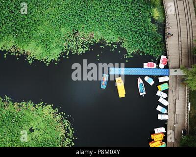 Shenyan, Shenyan, China. 13. Juli 2018. Shenyang, China - Luftaufnahmen der größten Lotus Pool in Shenyang, Provinz Liaoning im Nordosten Chinas. Credit: SIPA Asien/ZUMA Draht/Alamy leben Nachrichten Stockfoto