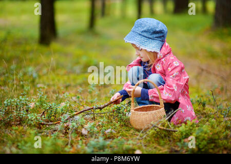 Adorable girl Kommissionierung foxberries im Wald im Sommer Tag Stockfoto