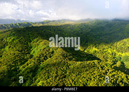 Beeindruckende Luftaufnahme von spektakulären Dschungel, Kauai, Hawaii Stockfoto