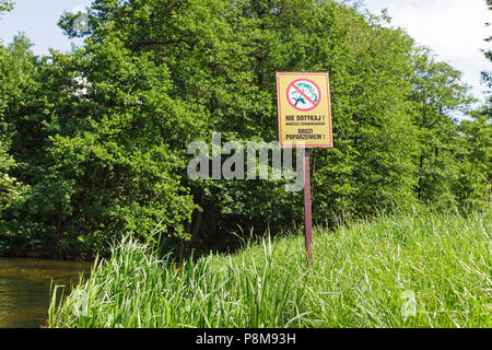 Warnschild in polnischer Sprache' Nie dotykaj! Barszcz sosnowskiego grozi poparzeniem!" auf die grüne Wiese, Warnung über riesige Berufkraut Stockfoto