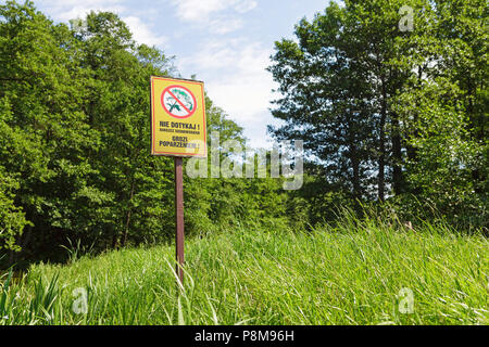 Warnschild in polnischer Sprache' Nie dotykaj! Barszcz sosnowskiego grozi poparzeniem!" auf die grüne Wiese, Warnung über riesige Berufkraut Stockfoto