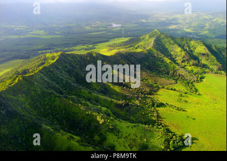 Beeindruckende Luftaufnahme von spektakulären Dschungel, Kauai, Hawaii Stockfoto