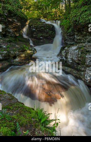 Adams fällt Bridal-Veil Rutsche Wasserfall, der rickett Glen State Park, Pennsylvania, USA Stockfoto