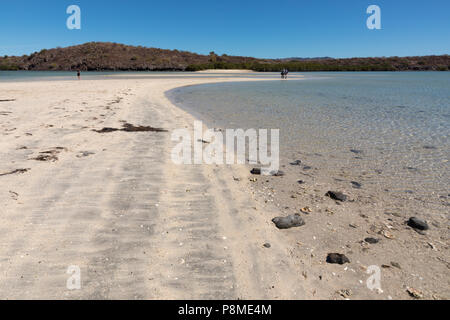 Küste von Baja California Sur, Mexiko Stockfoto