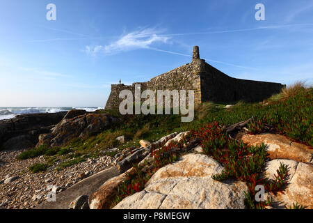 Forte Do Cao Schloss und Blätter von carpobrotus oder hottentotte Anlage (eine invasive Arten), in der Nähe von Vila Praia de Ancora, Provinz Minho, Nordportugal Stockfoto
