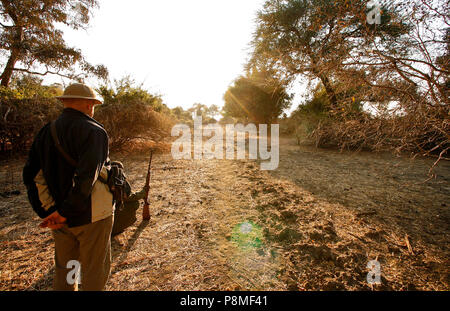 Park Ranger und touristische auf Walking Safari wathing Elefanten. Mana Pools Nationalpark. Simbabwe Stockfoto