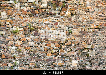 Stein unebenen alte Mauer mit Unkraut wachsen in die Risse Stockfoto