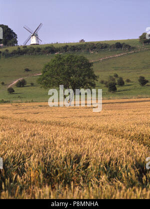 C 1992: England, Chilterns, Buckinghamshire, Turville, Windmühle und reifenden Kornfeld Stockfoto