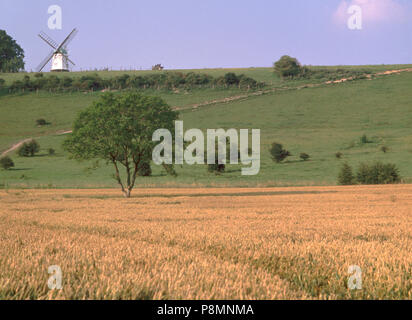 C 1992: England, Chilterns, Buckinghamshire, Turville, Windmühle und reifenden Kornfeld Stockfoto