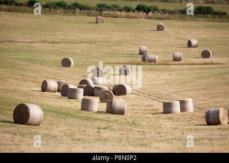 Durcheinander der runde Heuballen im Feld, Berkshire, England, Vereinigtes Königreich, Europa Stockfoto