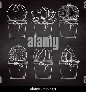 Skizze Sukkulenten in Töpfen auf dem Schwarzen Brett isoliert. Vector Illustration. Stock Vektor