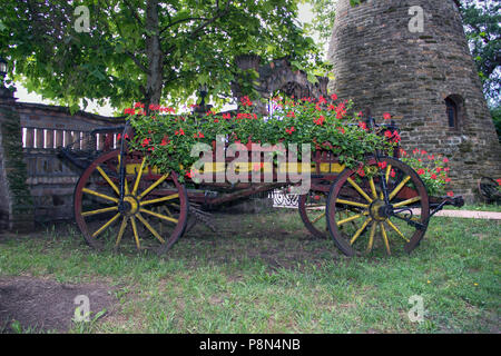 Landschaft, Serbien - Dekorative vintage Holz- Warenkorb mit bunten Sommer Blumen und Topfpflanzen gefüllt Stockfoto