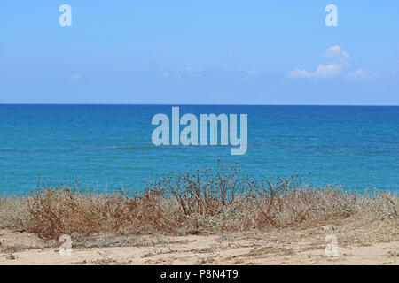 Schöne Meer Hintergrund mit trockenem Gras auf sandigem Untergrund, blaues Meer und bewölkter Himmel Stockfoto