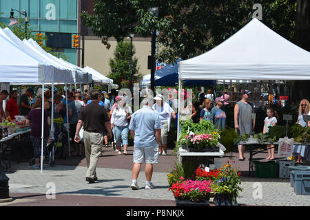 Beliebige Leute Szenen, Aktivitäten und Personen während Wilkes Barre PA's. Beliebte Donnerstag Bauernmarkt auf dem öffentlichen Platz in Central City Juli 2018 Stockfoto