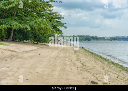 Singapur - Juli 8,2018: Pasir Ris Park. Menschenleeren Strand in einem Stadtpark. Singapur. Pasir Ris Park ist ein Beach Park in der Teil von Singapur t entfernt Stockfoto