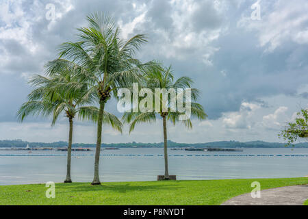 Singapur - Juli 8,2018: Pasir Ris Park. Blick über Wasser mit Insel und Fischzuchtbetriebe in den Hintergrund. Singapur. Pasir Ris Park ist ein Beach Park loc Stockfoto