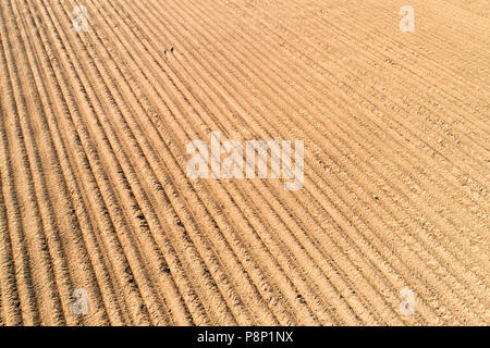 Gepflügten Feldes Textur. Landwirtschaftliches Feld Luftaufnahme. Stockfoto