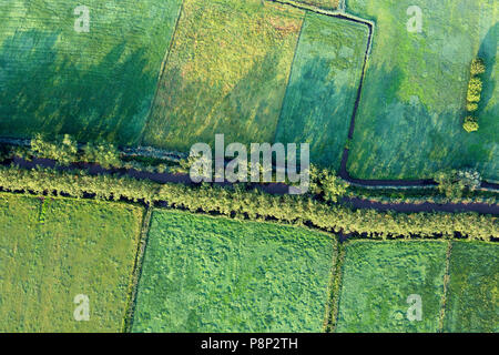 Antenne von grünen Feldern und Kanäle Stockfoto