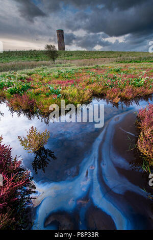 Saltmarsh in der Oosterschelde National Park im Oktober mit Farben des Herbstes bei Sonnenaufgang Stockfoto