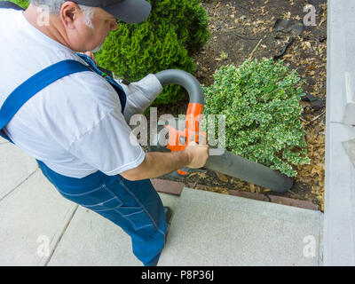 Garten Arbeiter Staubsaugen bis tote Blätter in ein Blumenbeet neben einem Zement weg sorgfältig gearbeitet um grünen Sträuchern in einem über die Schulter sehen Stockfoto