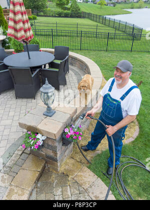 Mann Bewässerung der bunten Frühling Blüten in hängenden Töpfen auf seiner Terrasse mit seinem niedlichen kleinen goldenen Cocker Spaniel hund stehend an der Wand neben ihm, ich Stockfoto