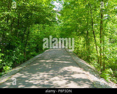 Lange grünen schattigen Baum-gezeichnete Allee geht zurueck in einer geraden Linie in einem bewaldeten Landschaft im Frühjahr verlassen Stockfoto