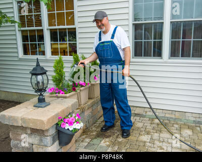 Mann Bewässerung neu arborvitaes oder thuja mit petunien in der dekorativen Töpfe auf seiner Veranda oder Terrasse mit einem Gartenschlauch und Spritzdüse gepflanzt Stockfoto