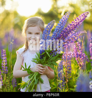 Süße kleine Vorschüler Mädchen Spaß im schönen blühenden Lupinen Feld im Sommer Stockfoto