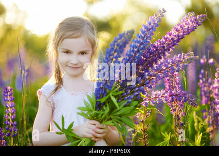 Süße kleine Vorschüler Mädchen Spaß im schönen blühenden Lupinen Feld im Sommer Stockfoto